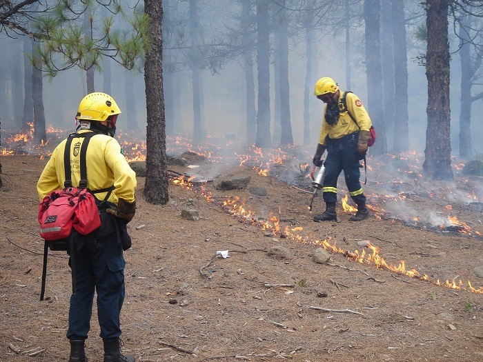 Orman yangınlarına hızlı müdahalenin yolu akıllı şehir teknolojilerinden geçiyor