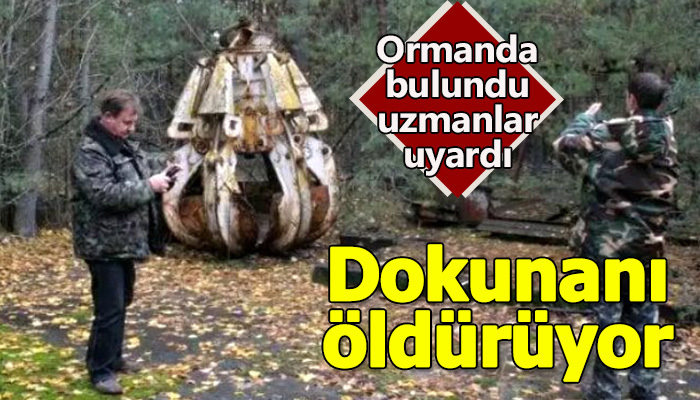 Ormanda terkedilmiş! Ölüm saçıyor!