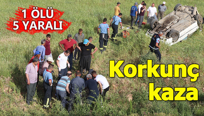 Otomobil tarlaya devrildi: 1 Ölü