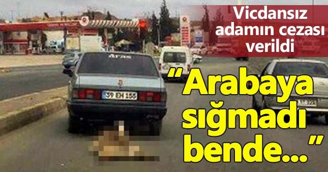 Otomobilin arkasında sürüklenen köpek barınağa gönderildi.