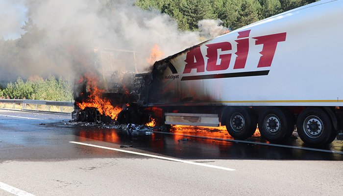 Otoyolda yanan TIR panik yarattı