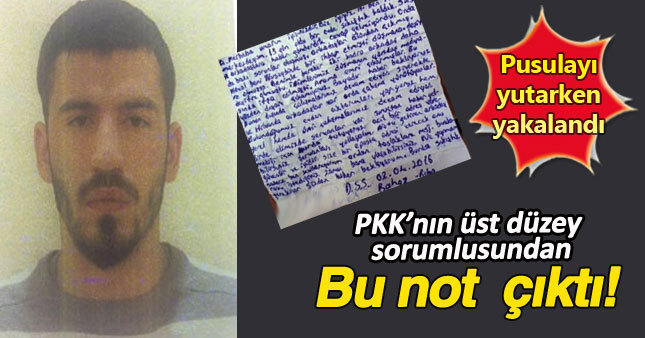 PKK/KCK'nın üst düzey yöneticisi yakalandı!