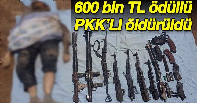 PKK'nın 600 bin tl ödüllü sorumlusu öldürüldü