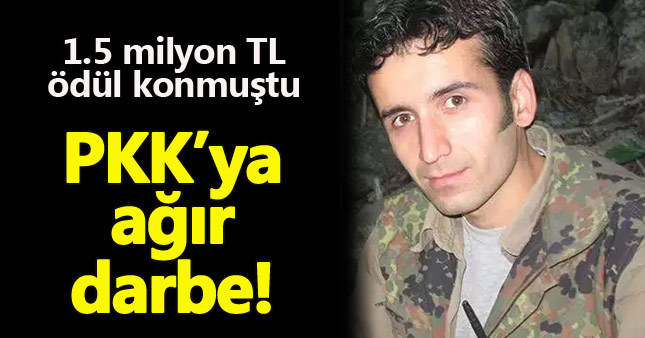 PKK'nın Tunceli sorumlusu öldürüldü