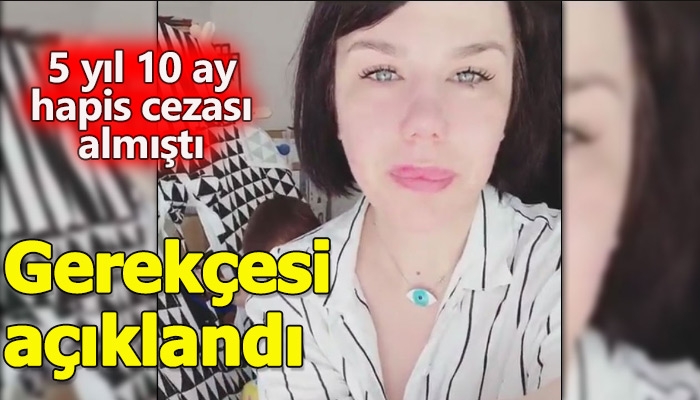 Pucca'nın hapis cezası yemesinin gerekçesi