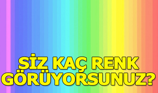 Renk görme testi! Siz kaç renk görüyorsunuz?