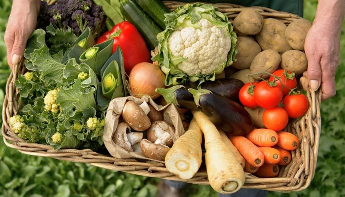 Sağlıklı yaşamın sırrı organik beslenmede