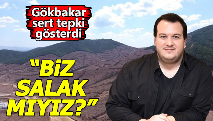 Şahan Gökbakar'ın Kaz Dağları açıklamasına sert tepkisi
