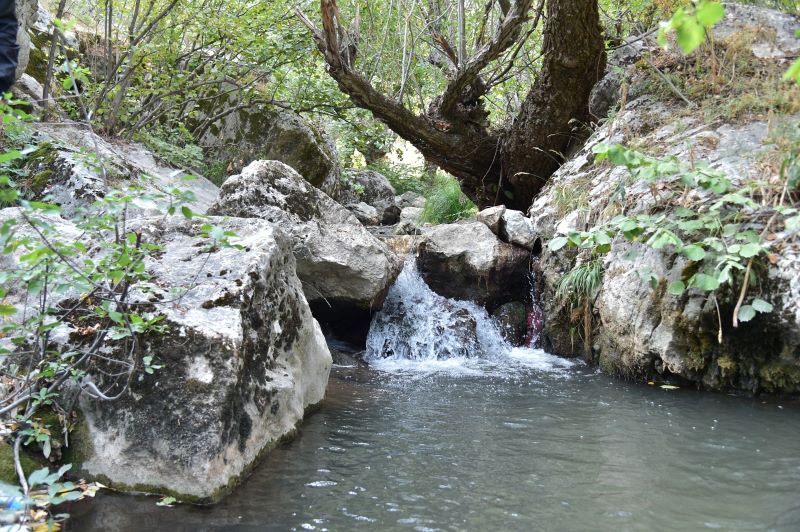 Saklı Cennet Kıbrıs Kanyonu: Oksijen Deposu