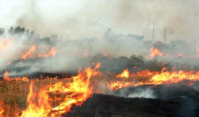 Silivri'de çıkan yangın yerleşim yerlerine ilerliyor