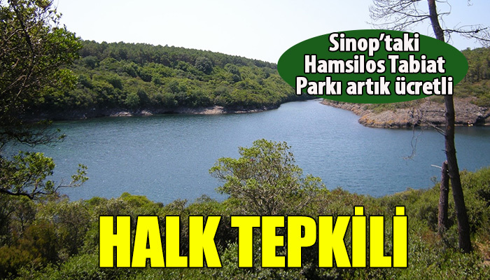 Sinop halkından Hamsilos tepkisi
