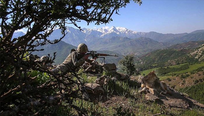 Şırnak ve Elazığ'da 4 terörist etkisiz hale getirildi