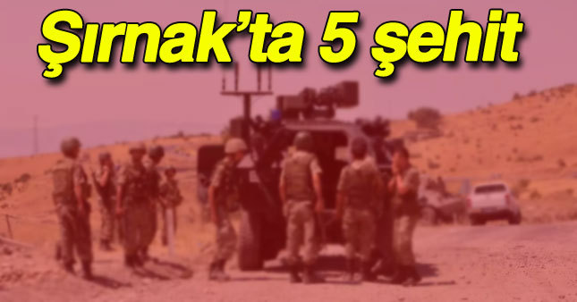 Şırnak'tan acı haber!