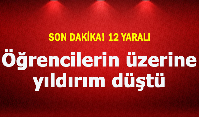 Son Dakika! Pikniğe Giden Öğrencilerin Üzerine Yıldırım Düştü: 12 Yaralı