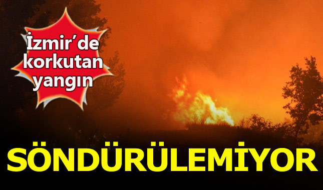 Son dakika... İzmir'de orman yangını! Söndürülemiyor - İzmir Haberleri