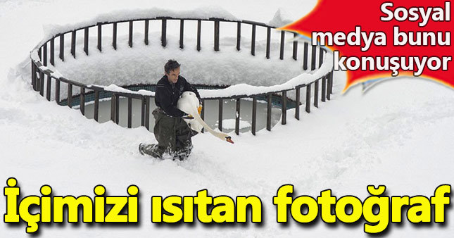 Sosyal medyanın konuştuğu fotoğraf