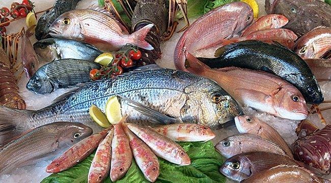 Su ürünleri sektörü ilk çeyrekte ihracatını yüzde 24 artırdı