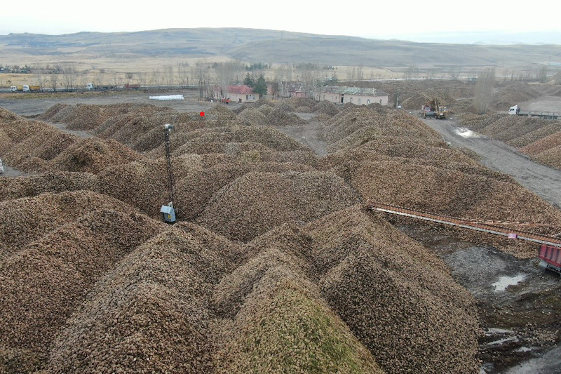 Sukkar Şeker 2025'te Üretim Hacmini Güçlendirdi