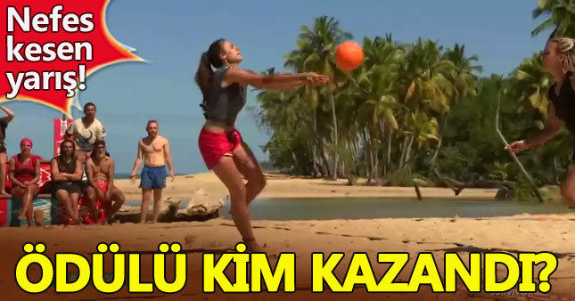 Survivor ödül oyununu kim kazandı - Voleybol maçı - 3 Şubat Cuma