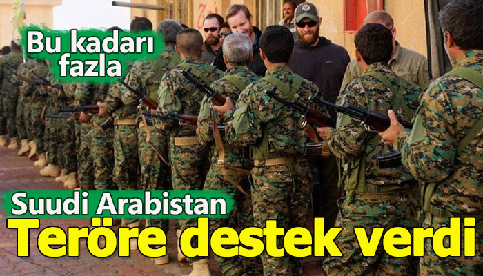 Suudi Bakan, terör örgütüne destek istedi
