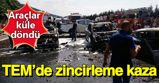 TEM'de zincirleme kaza: 7 kişi yaralı