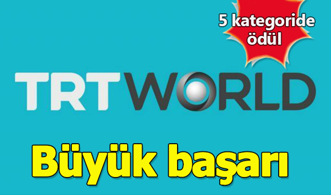 TRT World, The Drum Online Media ödüllerine aday oldu