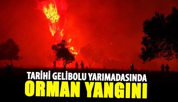 Tarihi Gelibolu yarımadasında orman yangını