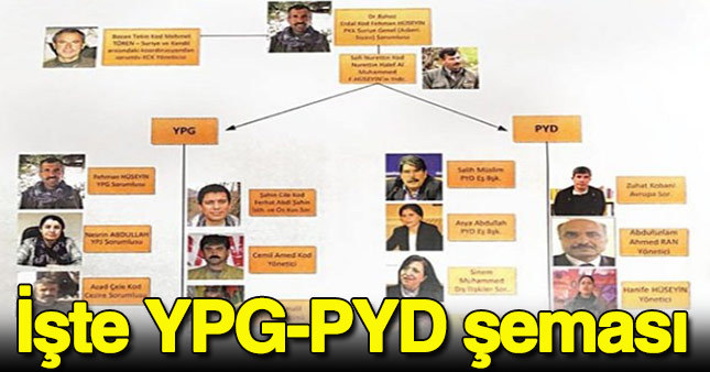 Terör örgütü PYD - YPG'nin yönetim şeması ortaya çıktı.