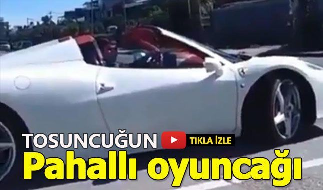 Tosuncuk kendine yeni oyuncak aldı!