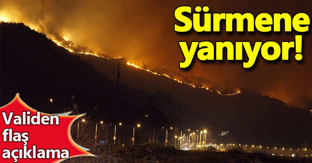 Trabzon, Sürmene'de orman yangını