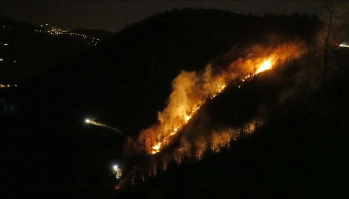 Trabzon'da meydana gelen örtü yangınları söndürüldü