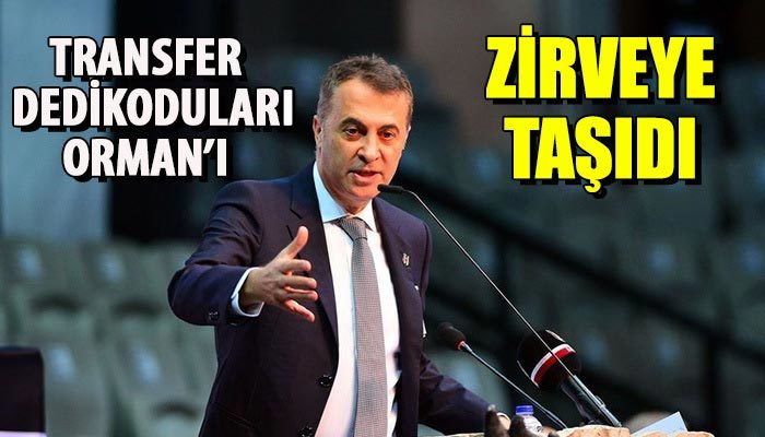 Transfer dedikoduları Orman'ı zirveye taşıdı