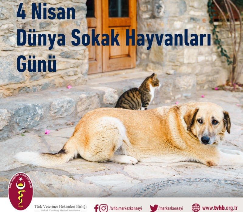 Türk Veteriner Hekimleri Birliği'nden Dünya Sokak Hayvanları Günü Basın Açıklaması