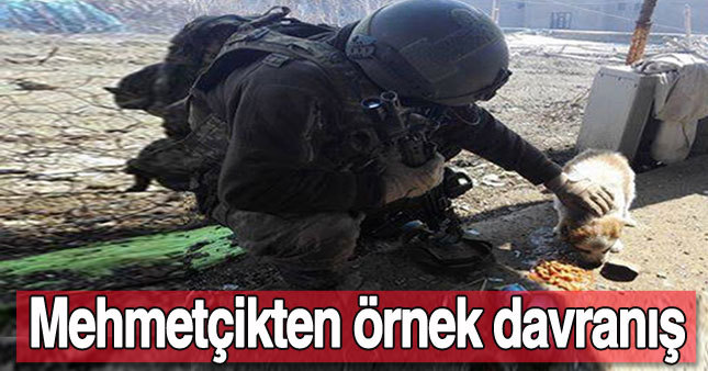 Türk askerinden örnek davranış