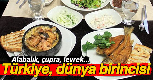 Türkiye çiftlik balıkçılığında söz sahibi