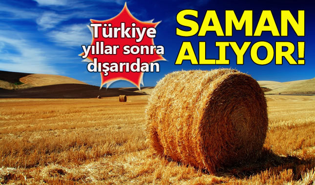 Türkiye yıllar sonra saman ithal ediyor
