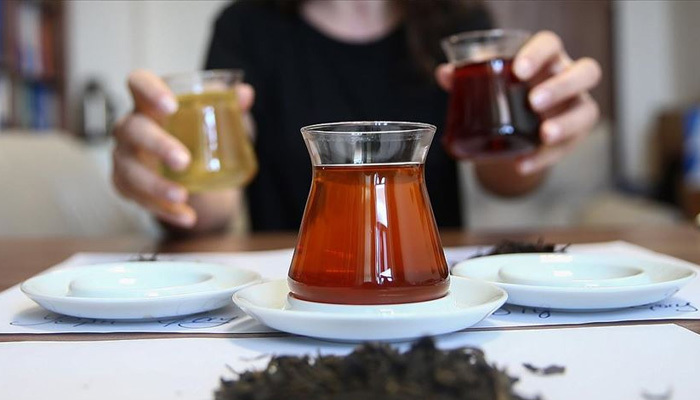 Türkiye'de bir ilk! Oolong çayı üretildi!