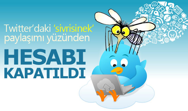 Twitter, sivrisinek öldüren kullanıcının hesabını bloke etti