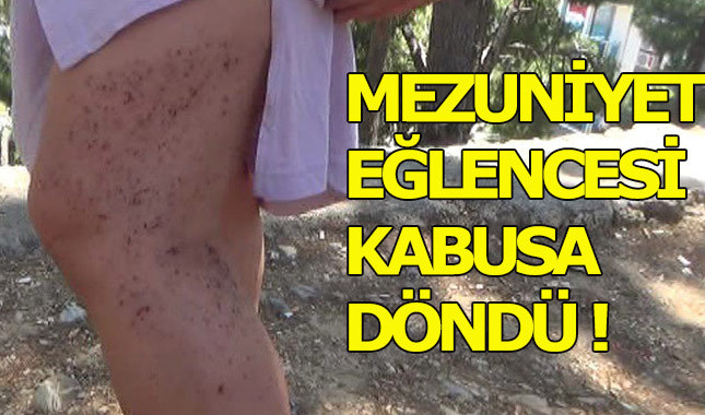 Üniversitelilerin mezuniyet eğlencesi kabusa döndü