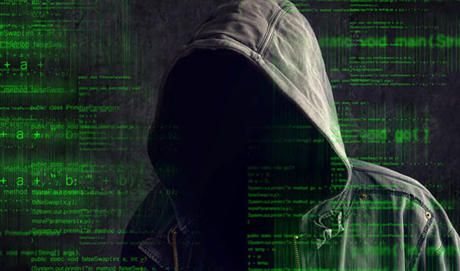 Ünlü avcısı hackerlara operasyon: 7 gözaltı