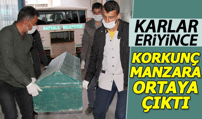 Van'da 6 erkek cesedi bulundu