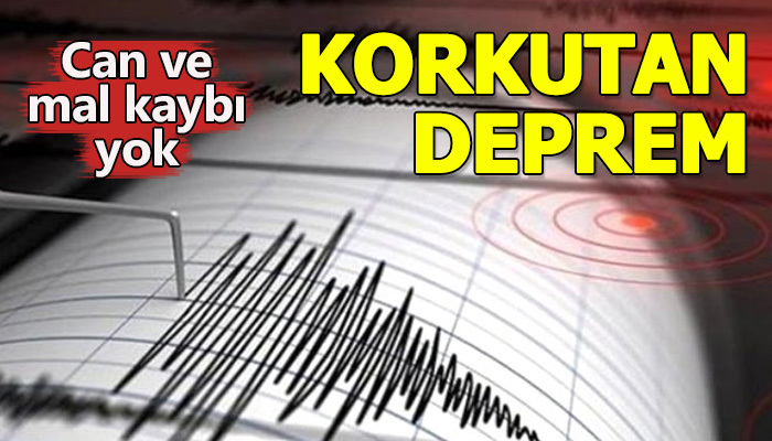 Van'da korkutan deprem