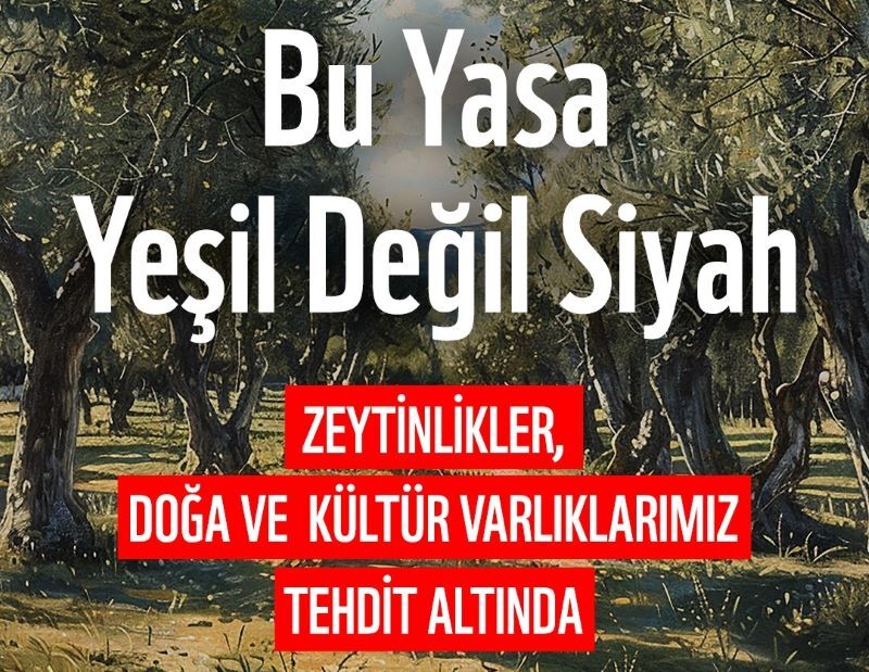 WWF-Türkiye: Meclis'e Sunulacak Yasa Teklifi Doğayı ve Kültürel Varlıkları Tehdit Ediyor