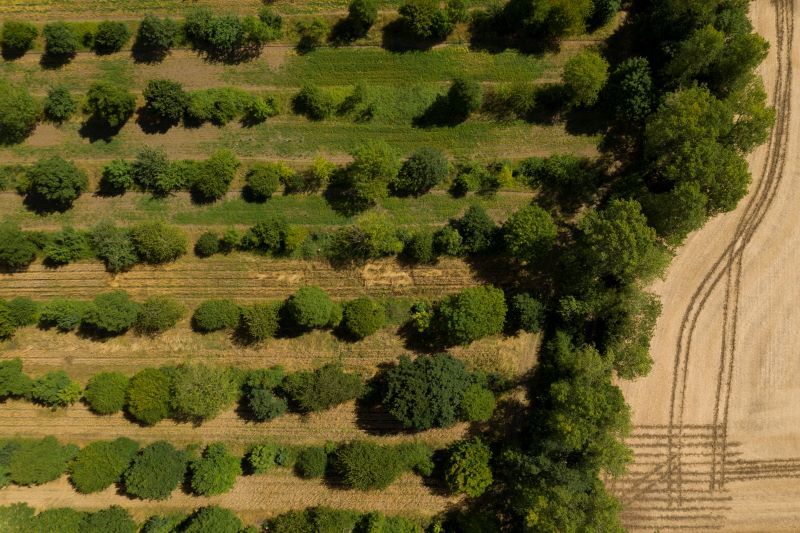 WWF-Türkiye'den Uyarı: “1.8 Dünya varmış gibi tüketiyoruz”