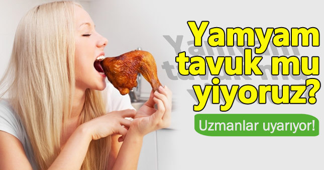 Yamyam tavuklar bizi öldürüyor!