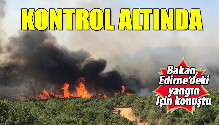 "Yangın çok kuvvetle kontrol altında"