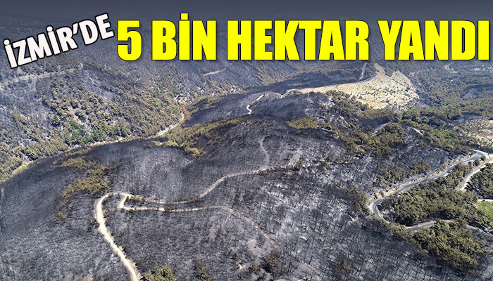 Yangınlar İzmir'de 5 bin hektarı kül etti