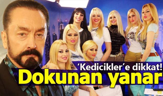 Yargıda 'kedicik' trafiği! Dokunan yanıyor