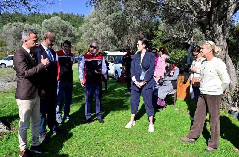 Yarımada Kadınları Sakız Ağacına Can Katıyor