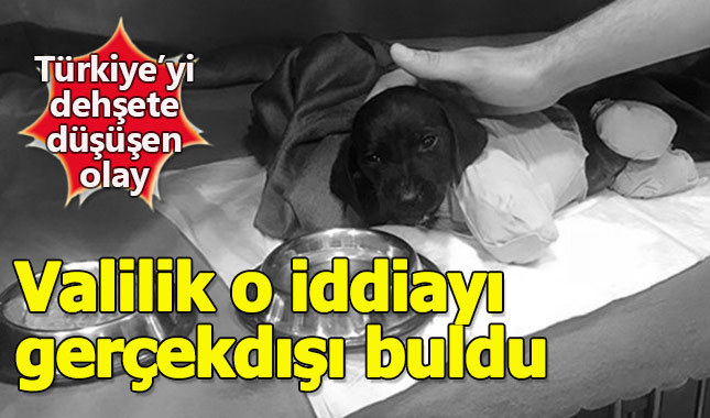 Yavru köpeğe yapılan işkenceyle ilgili yeni açıklama